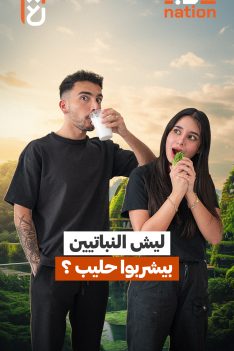 عرب Nation