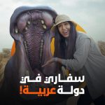 عرب nation