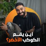 عرب nation