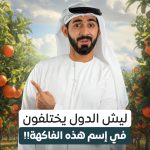 عرب Nation