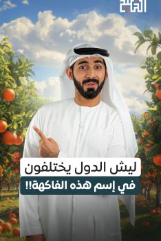 عرب Nation