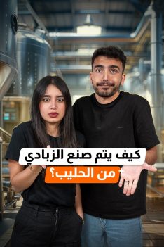 عرب Nation